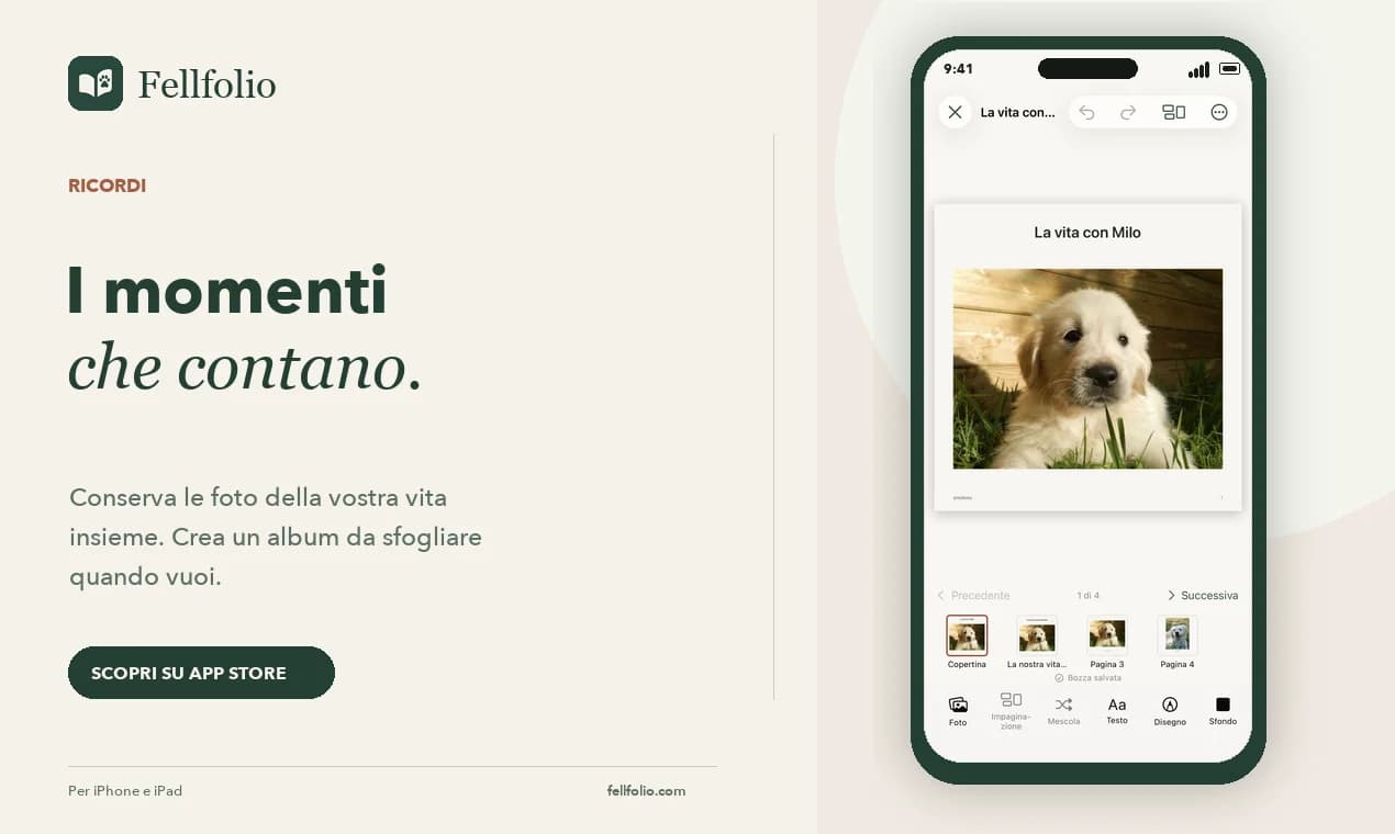 Fellfolio — immagine 1