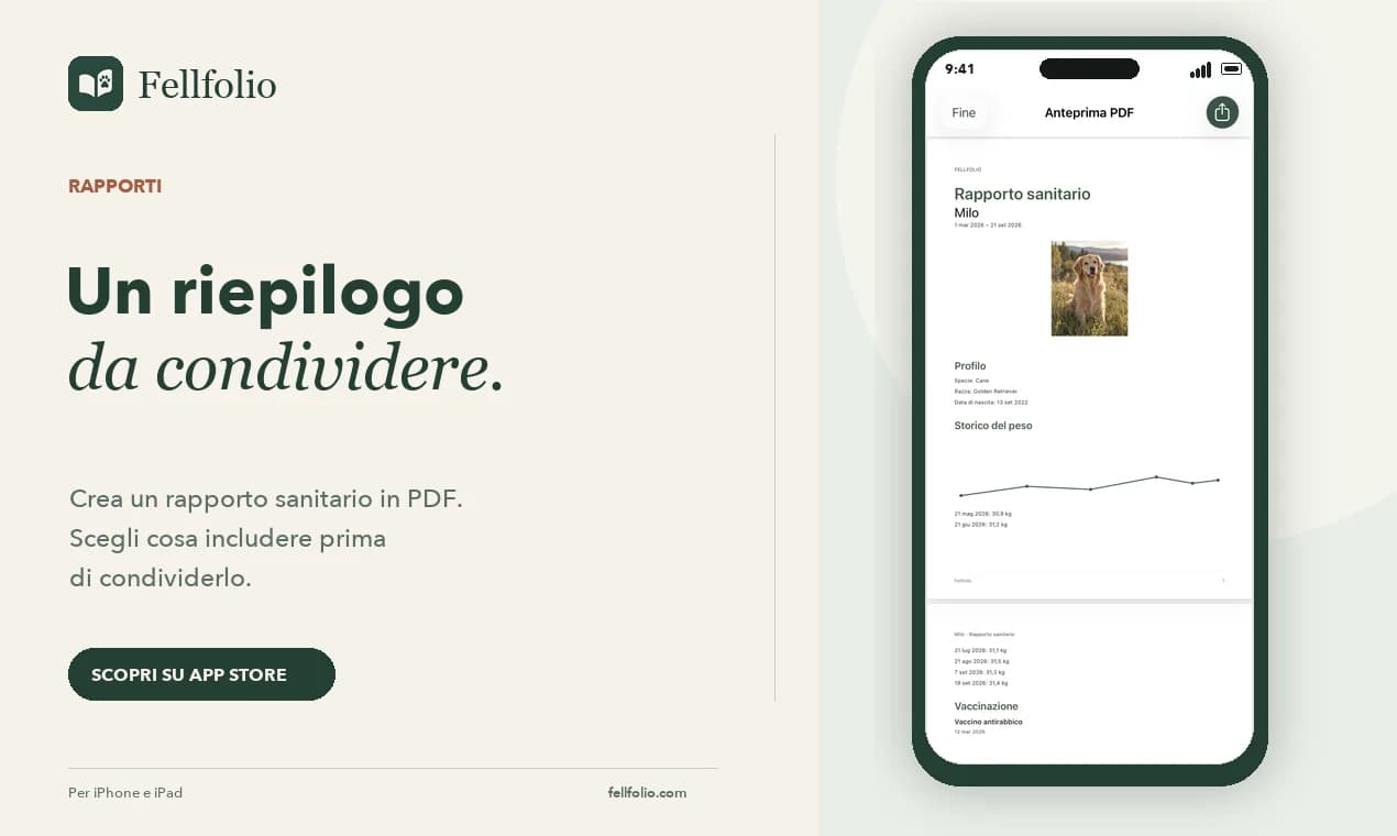 Fellfolio — immagine 2